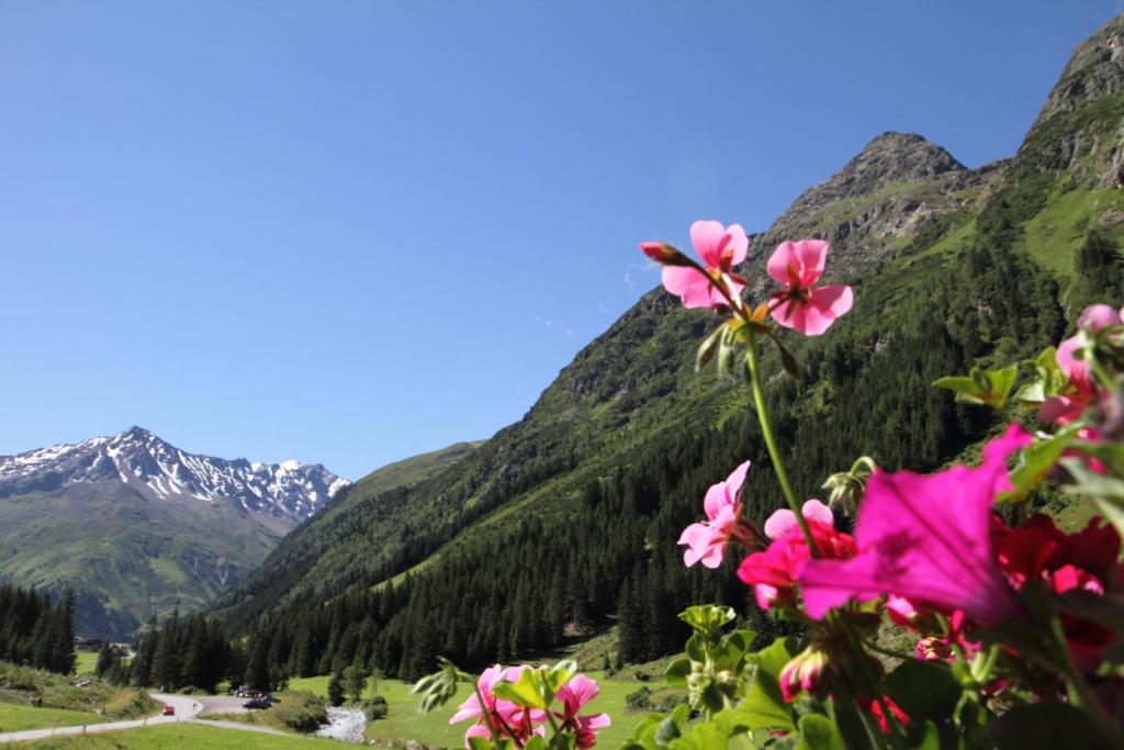 Hotel Haus Elisabeth St. Leonhard im Pitztal Pokój zdjęcie
